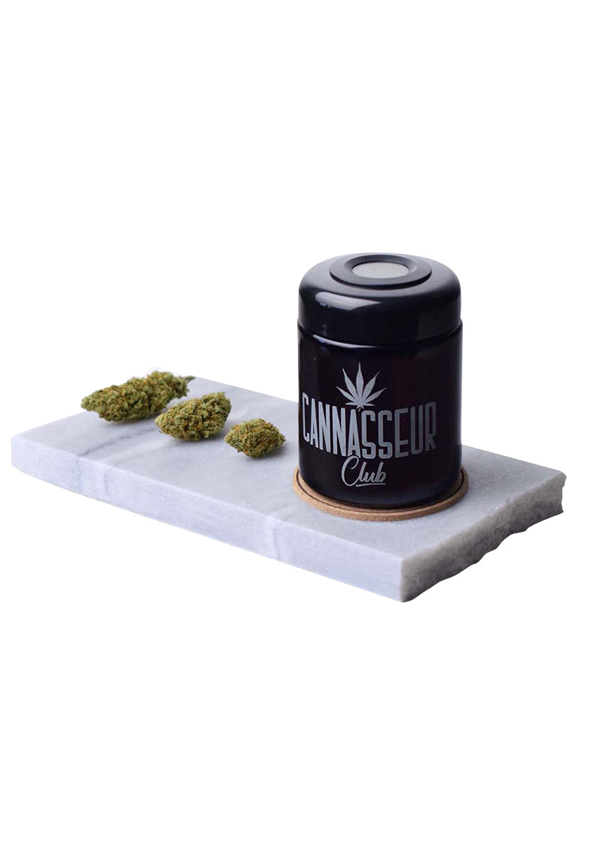 CANNASSEUR Club Humidor Medium